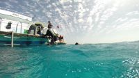 Egypt_2014_02_N14