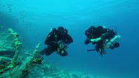 Egypt_2014_02_N16
