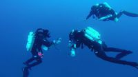 Egypt_2014_02_N17