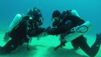 2014_05_Kas_rEvo_27