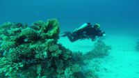 Bild_11