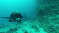 Bild_13