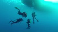 Bild_17